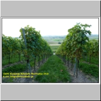 16693 Weinberge Bullenheim Oberfranken 2010.JPG